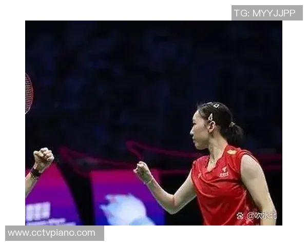 羽毛球评论：南京羽毛球队的控制得失_1